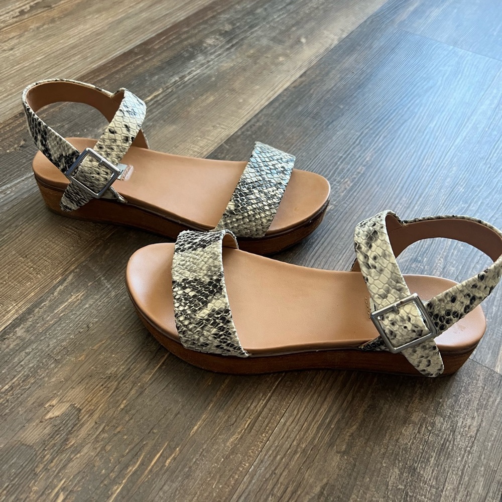 Steve Madden Snakeskin Women's Sandals